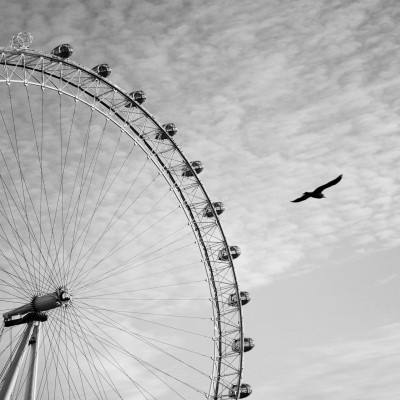 1920 x 1080 HD Wallpapers 341